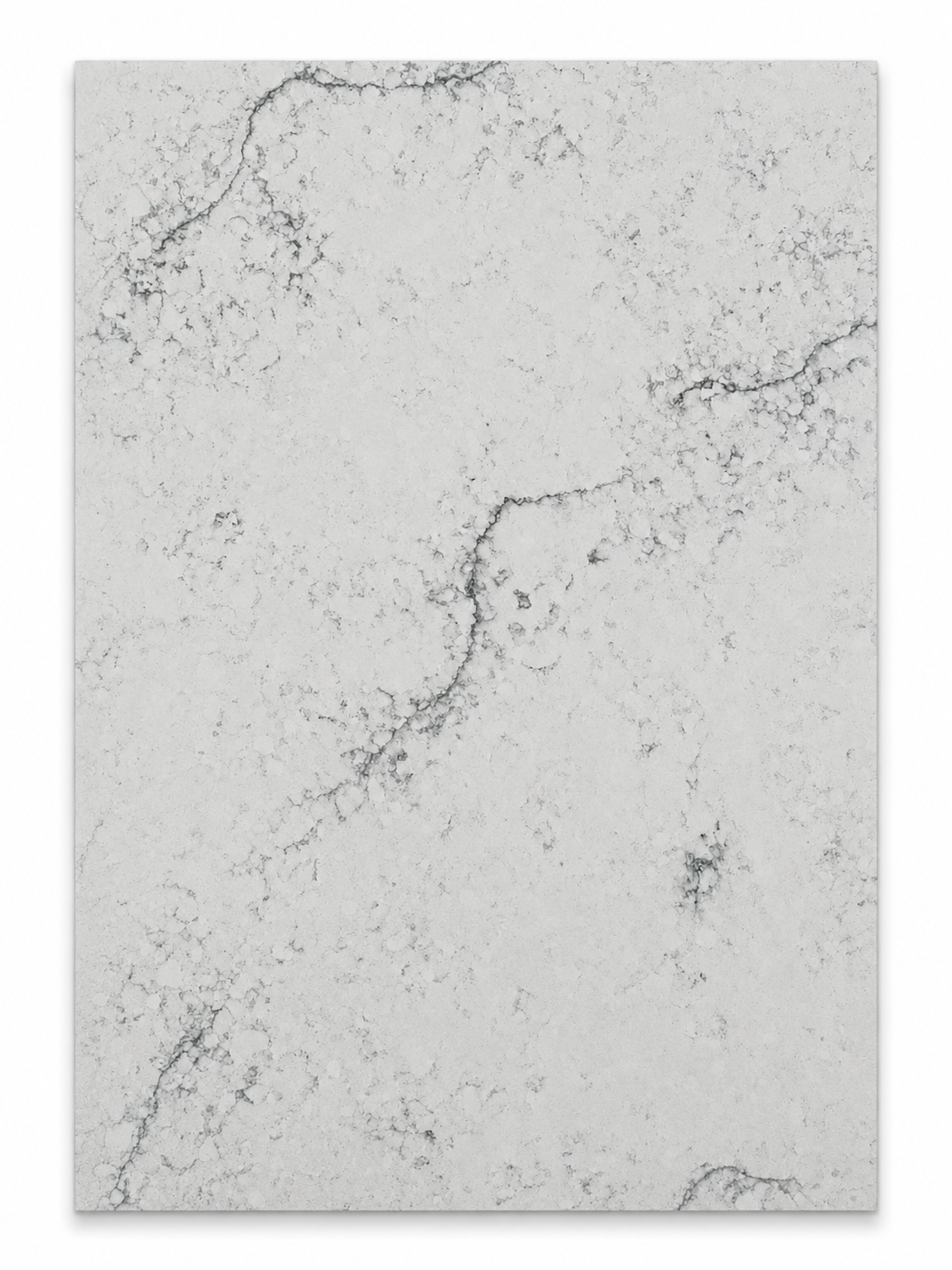 Two Color Calacatta quartz slab for Hawaii countertops
